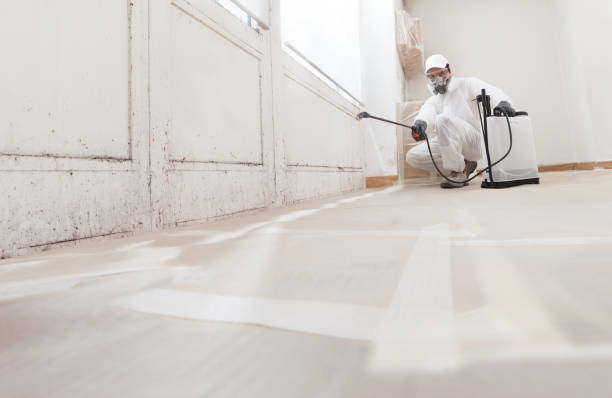 24/7 Emergency Basement Mold Remediation experts in Farmington, IL